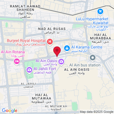 Google Maps static image